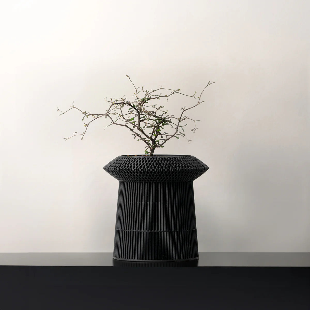 Revolve self-watering & air pruning planter