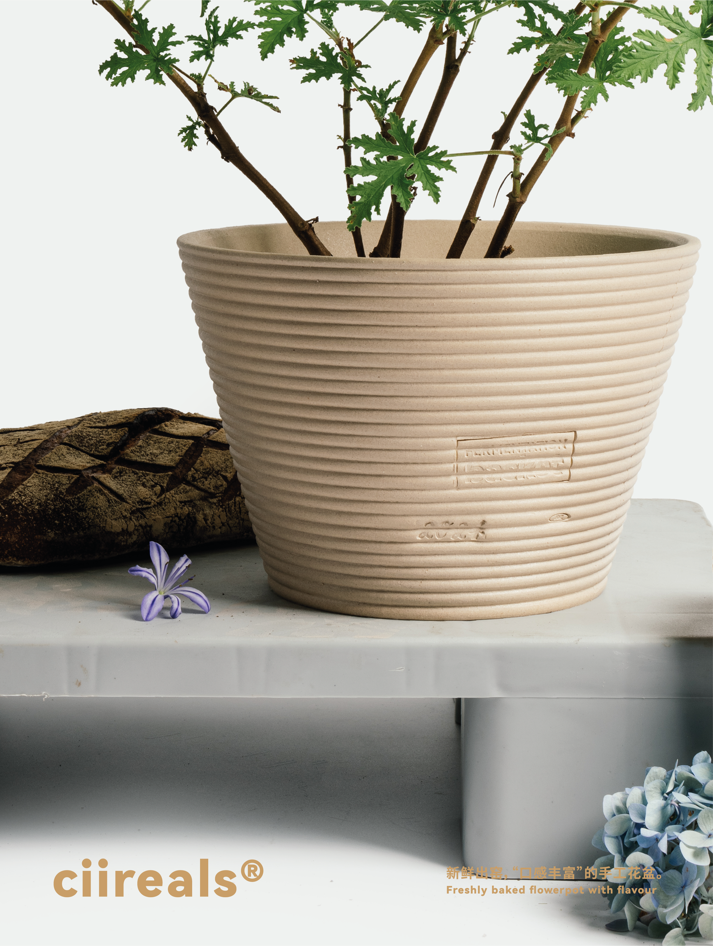 Fermentaion Basket