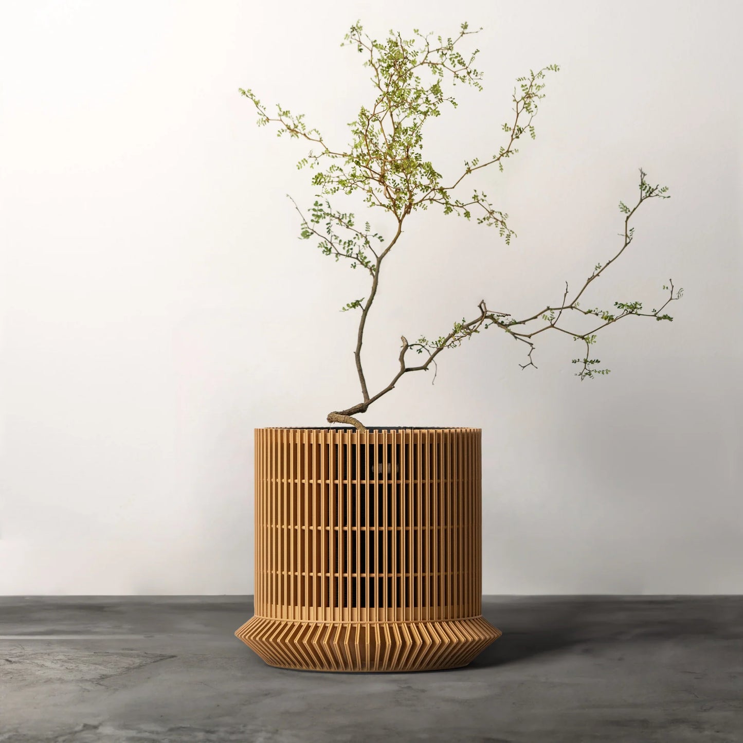 The Koshido self-watering & air-pruning plante