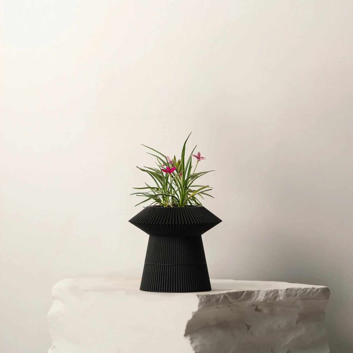 Revolve self-watering & air pruning planter