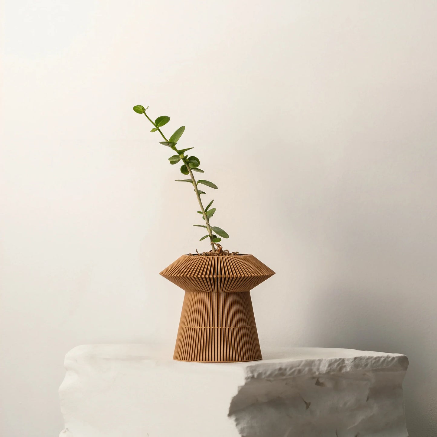 Revolve self-watering & air pruning planter