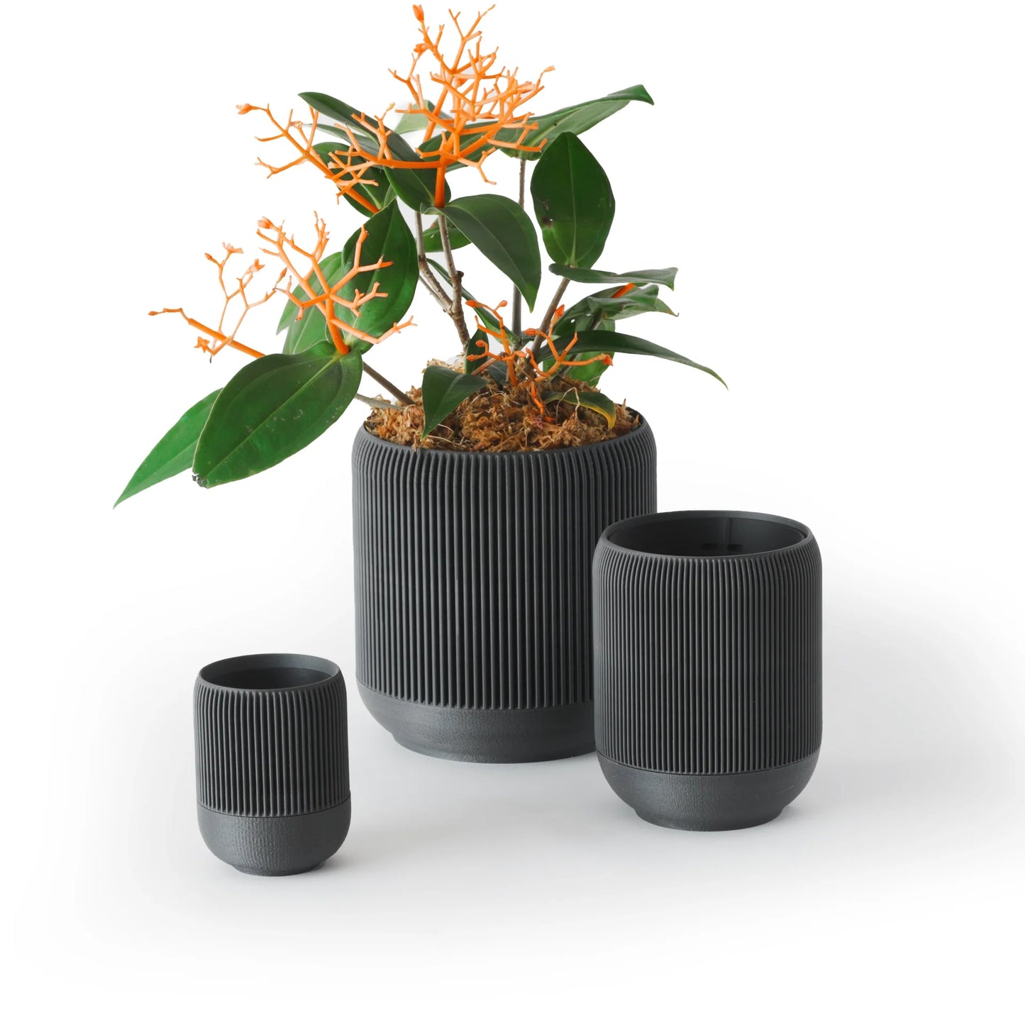 Lina self-watering & air pruning planter