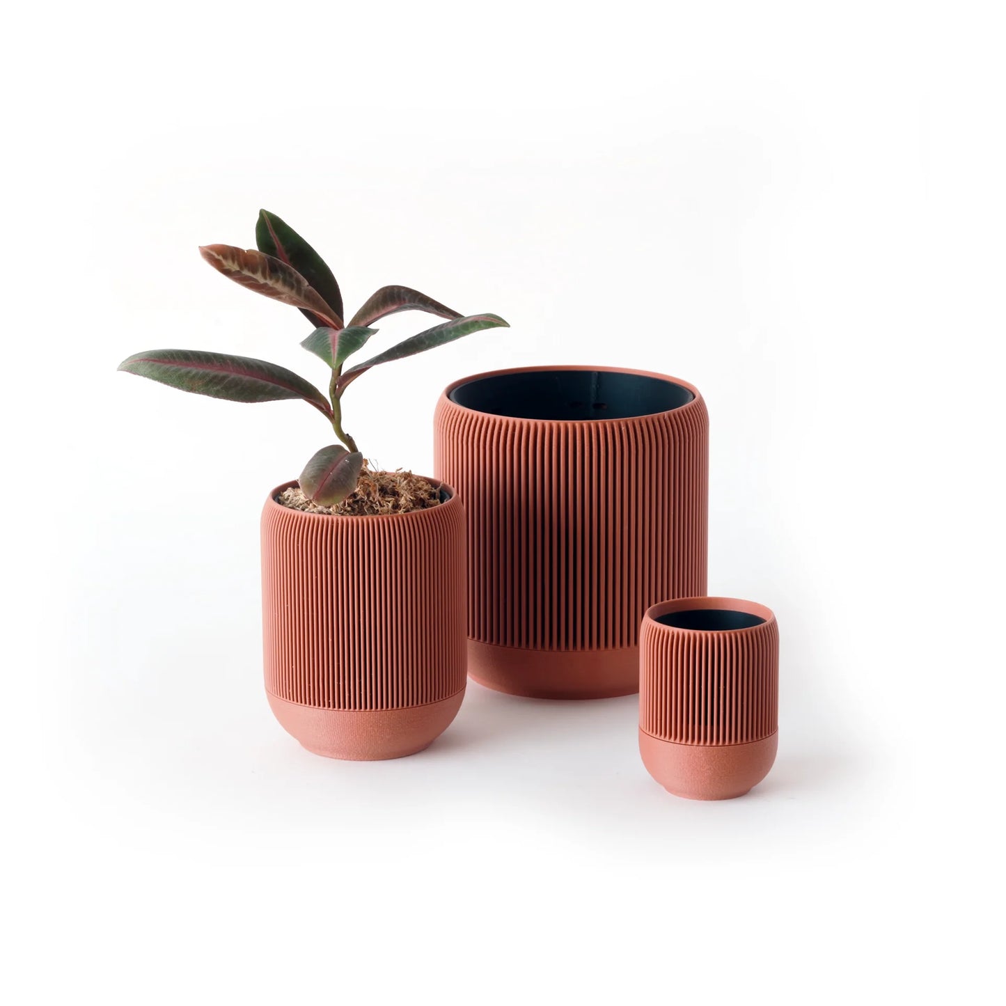 Lina self-watering & air pruning planter