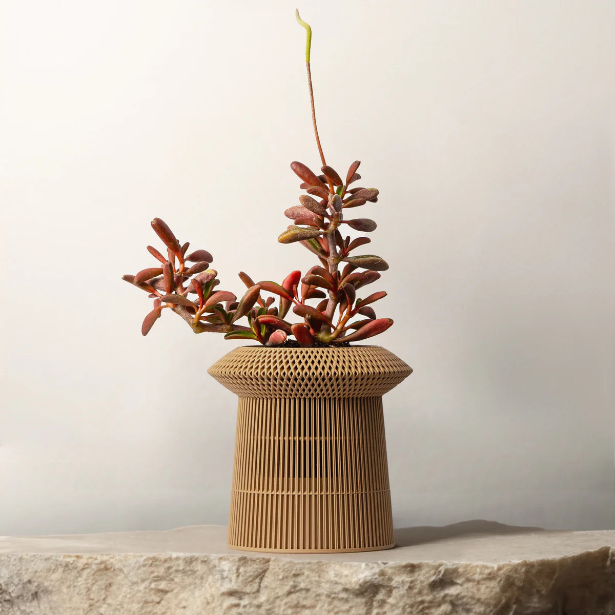 Revolve self-watering & air pruning planter