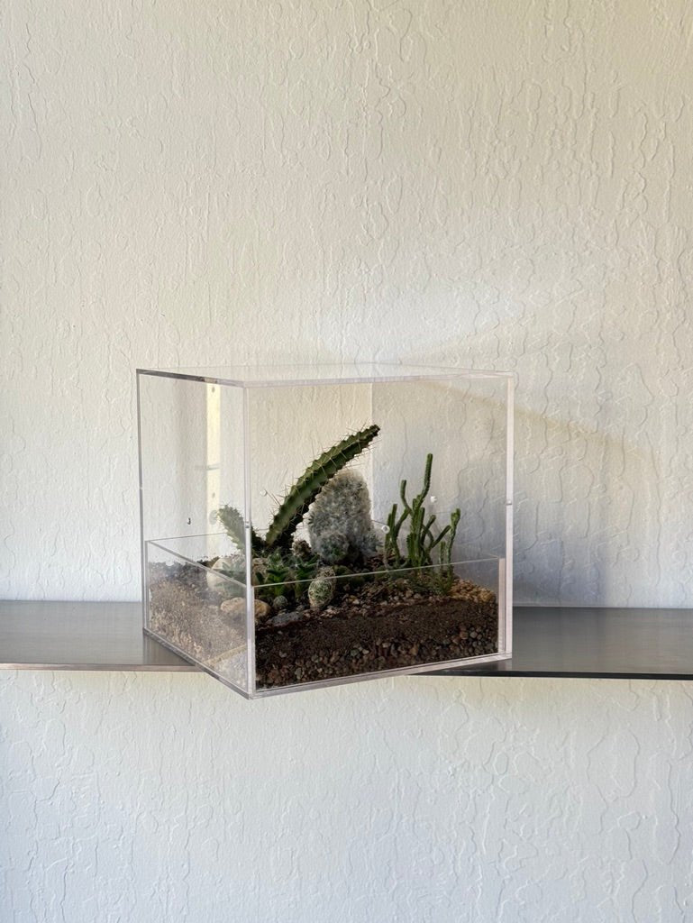 Desert Enclosure Cactus Terrarium - Acrylic box & low maintain