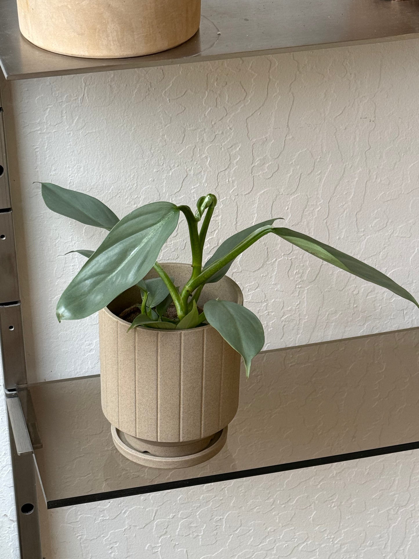Pilla Pot