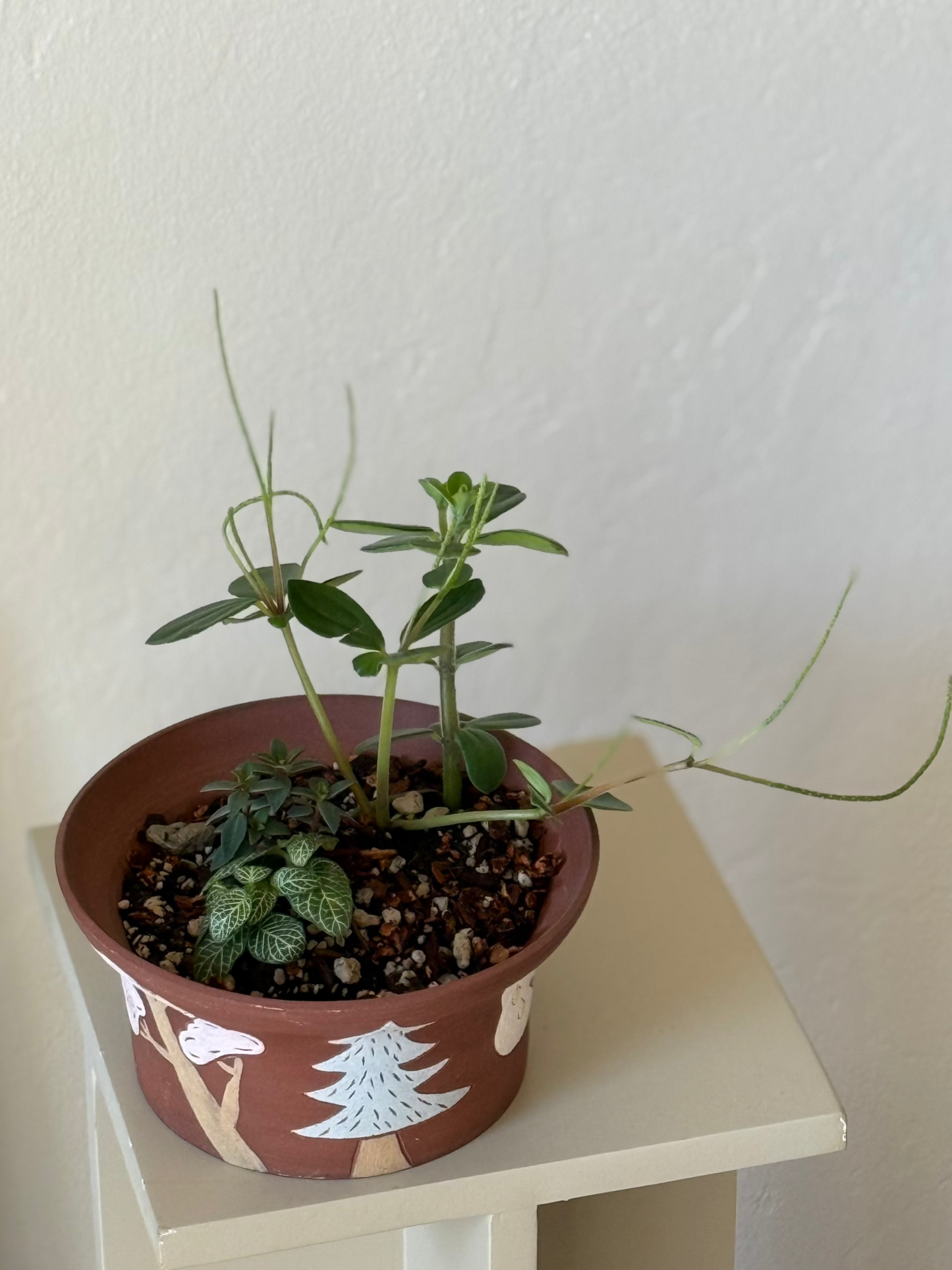Forest Whispers - handcraft plant arrangement