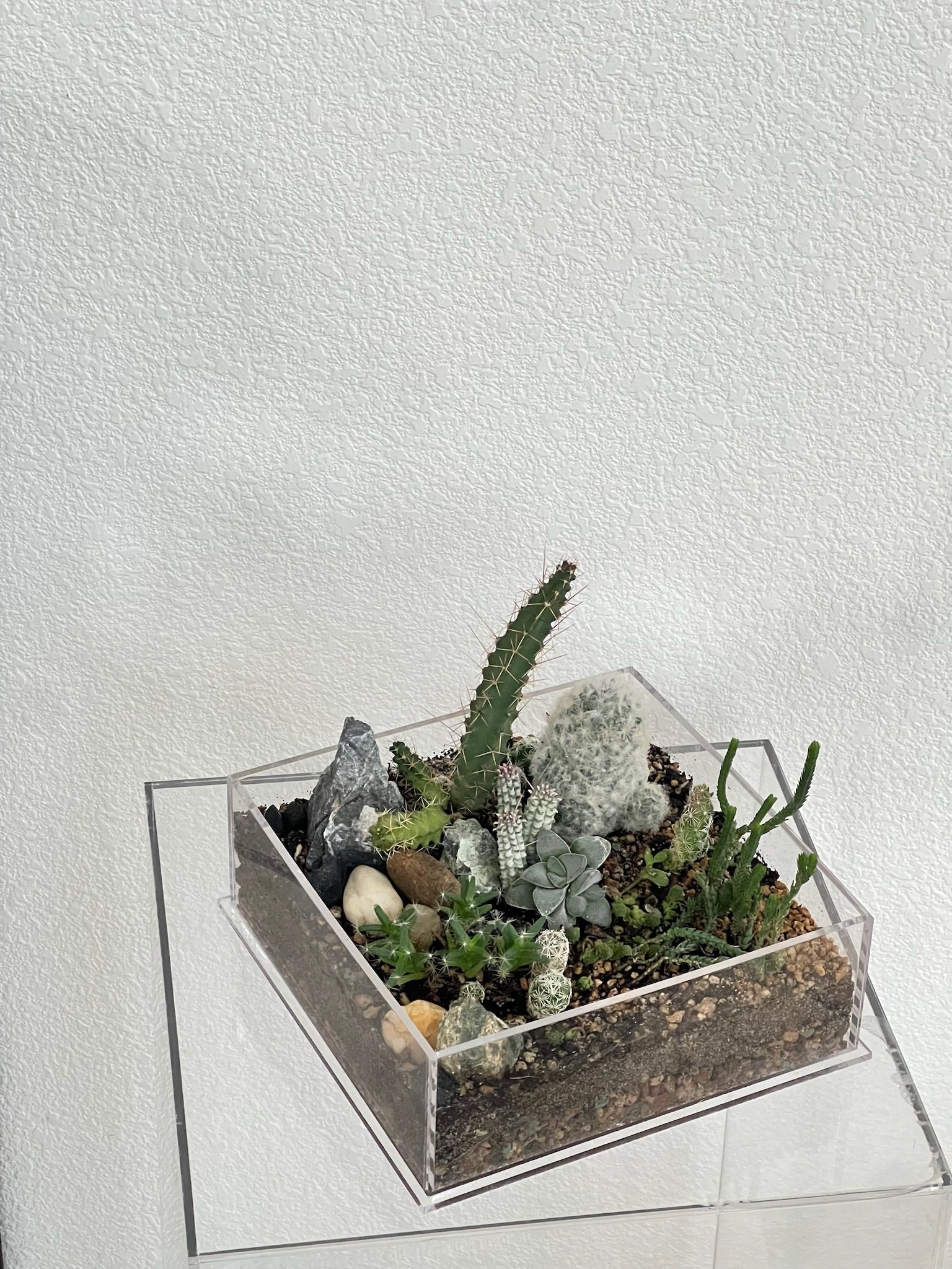 acrylic terrarium for plants Desert Enclosure Cactus Terrarium