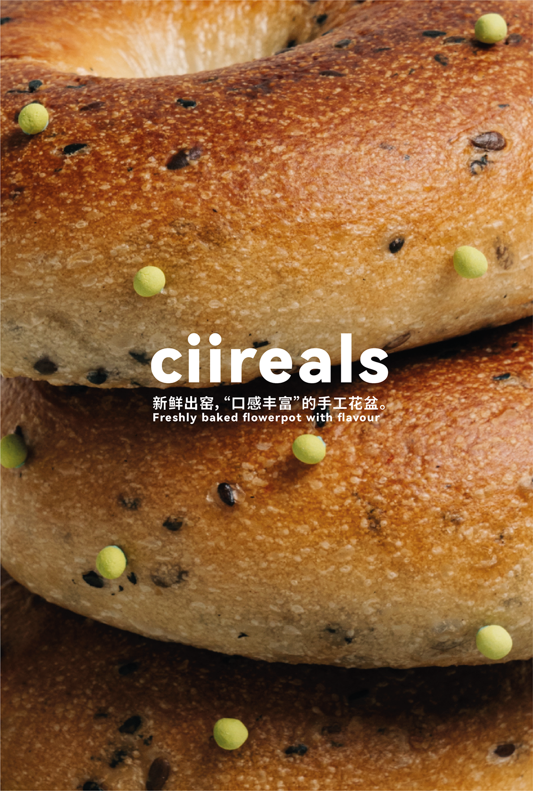 "Bagel" Pot (with Saucer)
