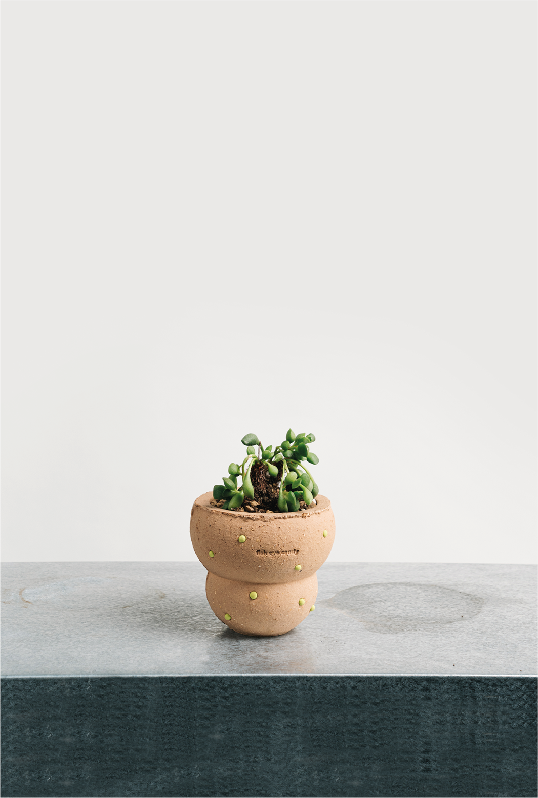 "Bagel" Pot (with Saucer)