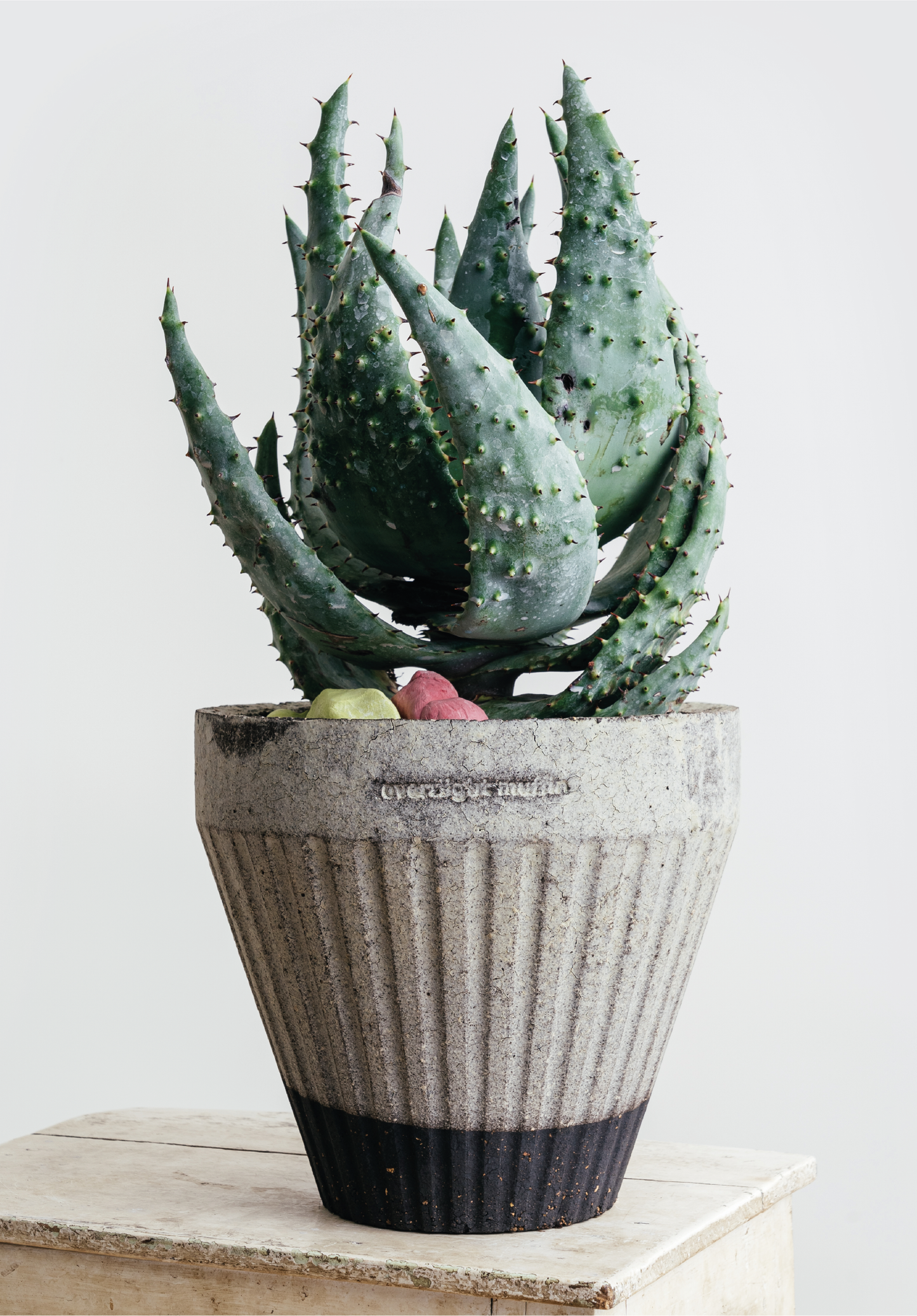 "Overnight Muffin" Pot (with Saucer)