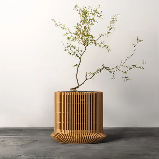 The Koshido self-watering & air-pruning plante