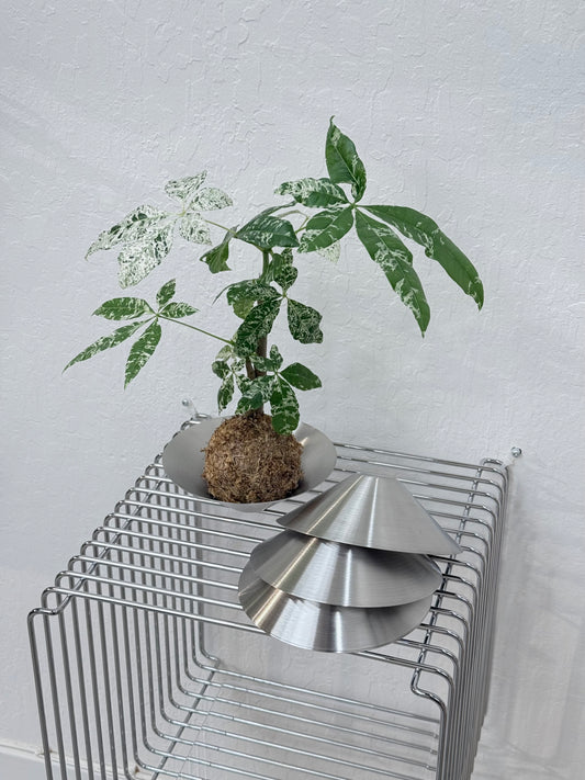 Stainless Steel Kokedama Bowl