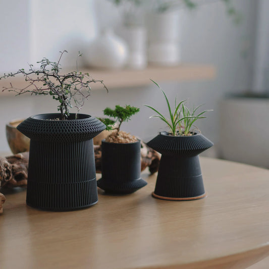 Revolve self-watering & air pruning planter