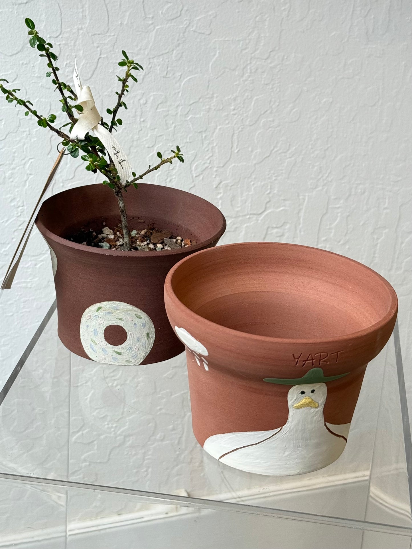Yart pot - duck