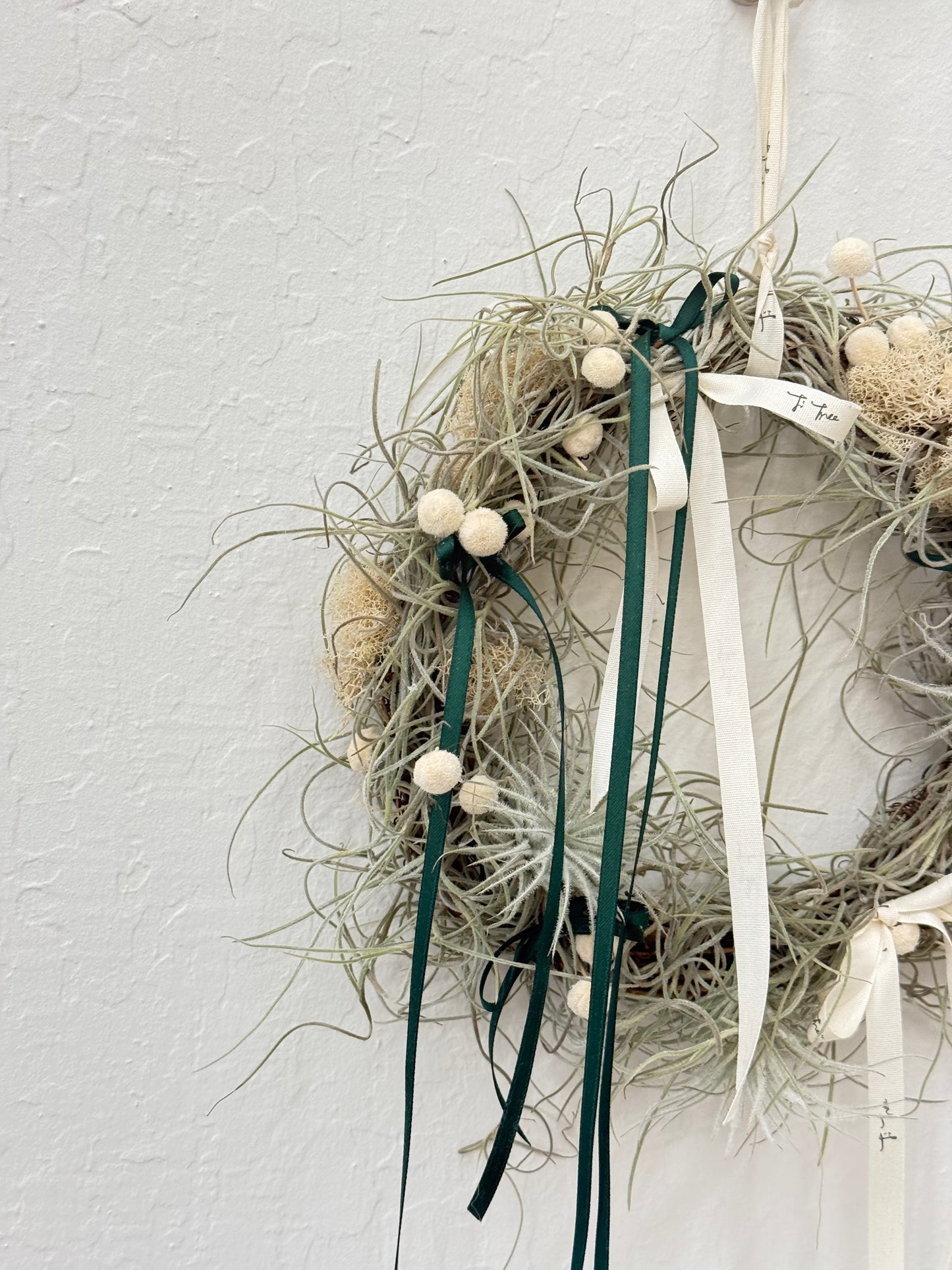 Air Plant Christmas Wreath