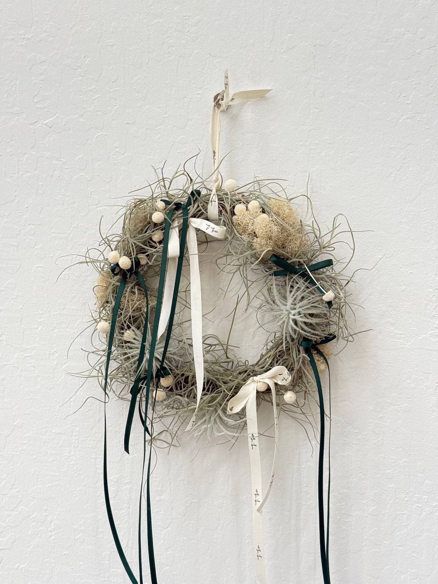 Air Plant Christmas Wreath