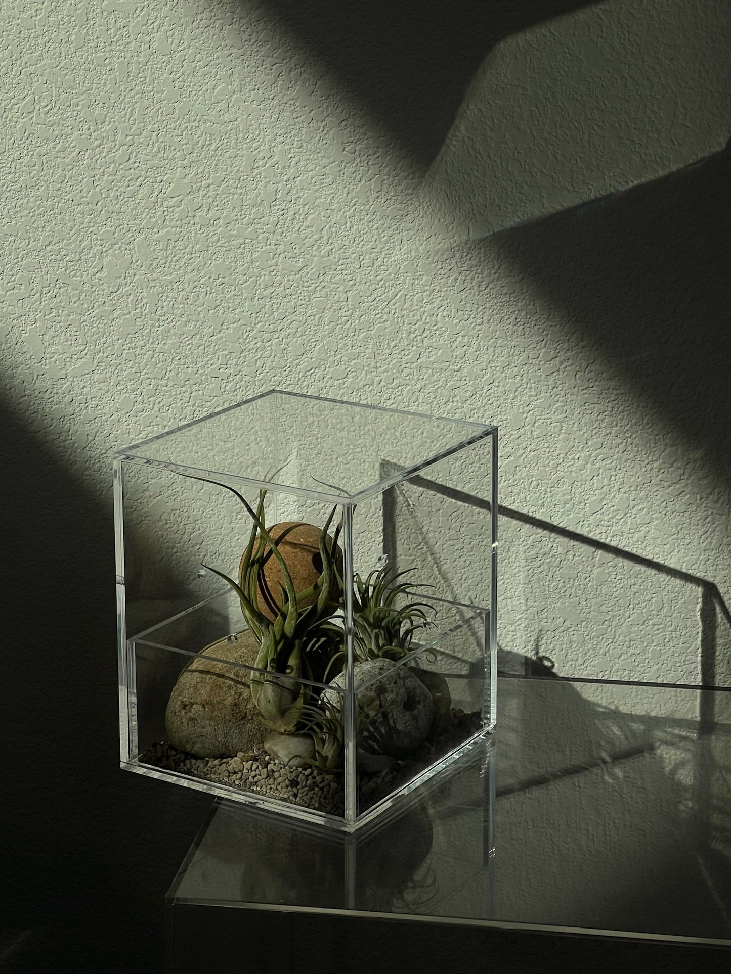 Acrylic Plant Box (no plants) - 4 ventilation holes on the sides