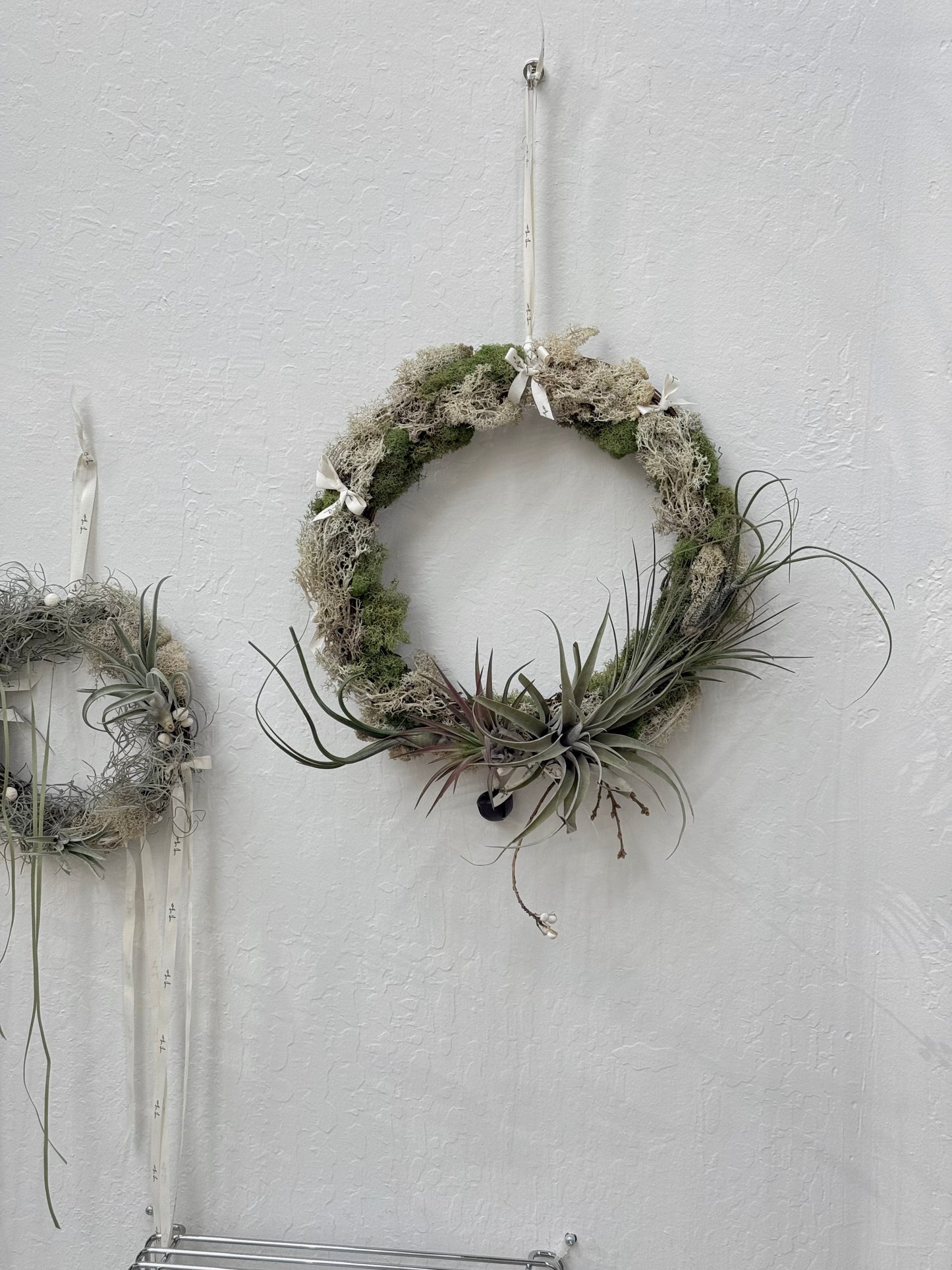 Air Plant Christmas Wreath