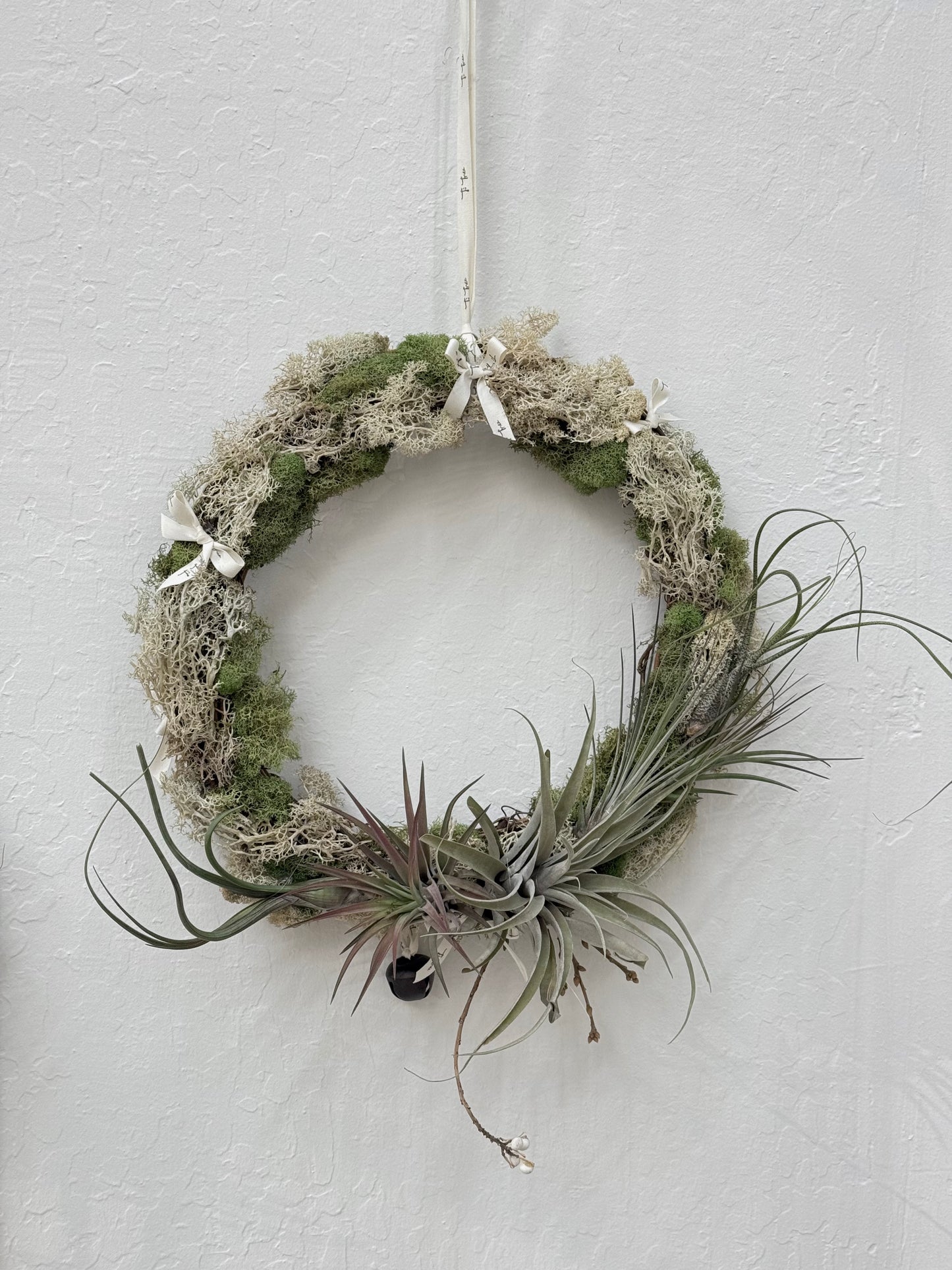 Air Plant Christmas Wreath