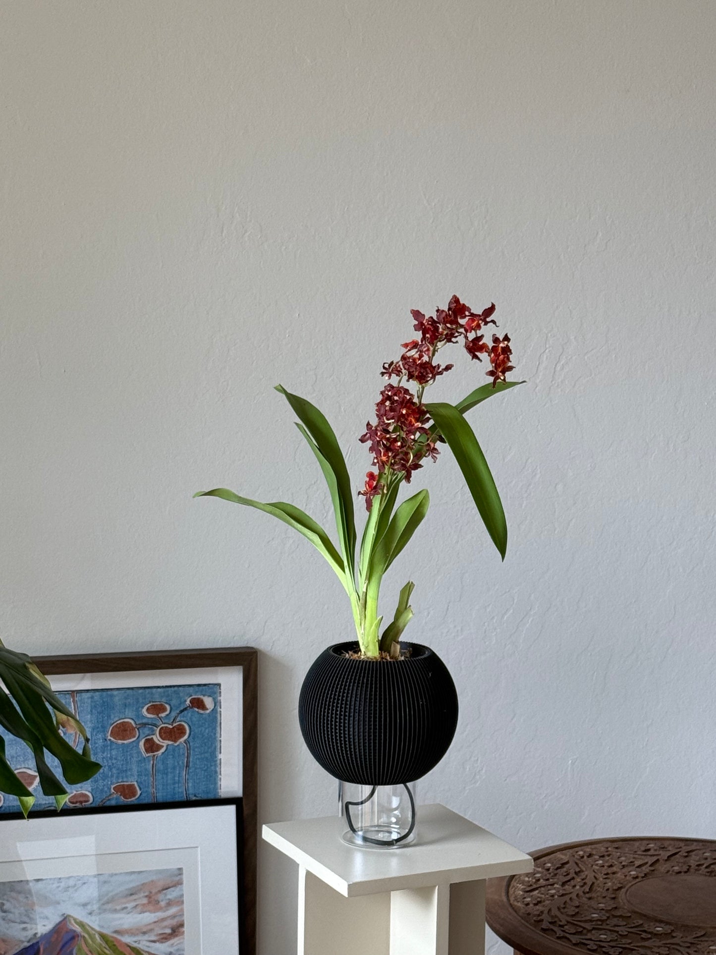 ORB SELF-WATERING & AIR PRUNING PLANTER