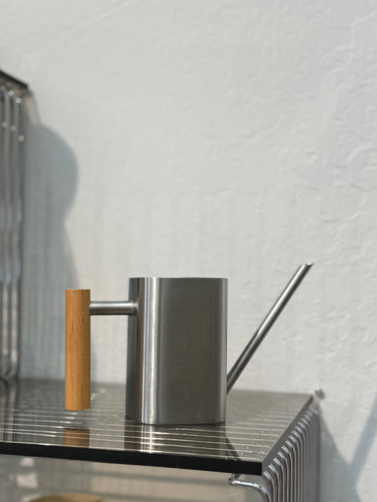 Stainless Steel Watering Can — 500ml