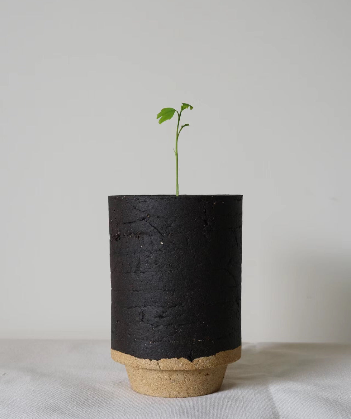 charcoal in plant pots Charcoal
