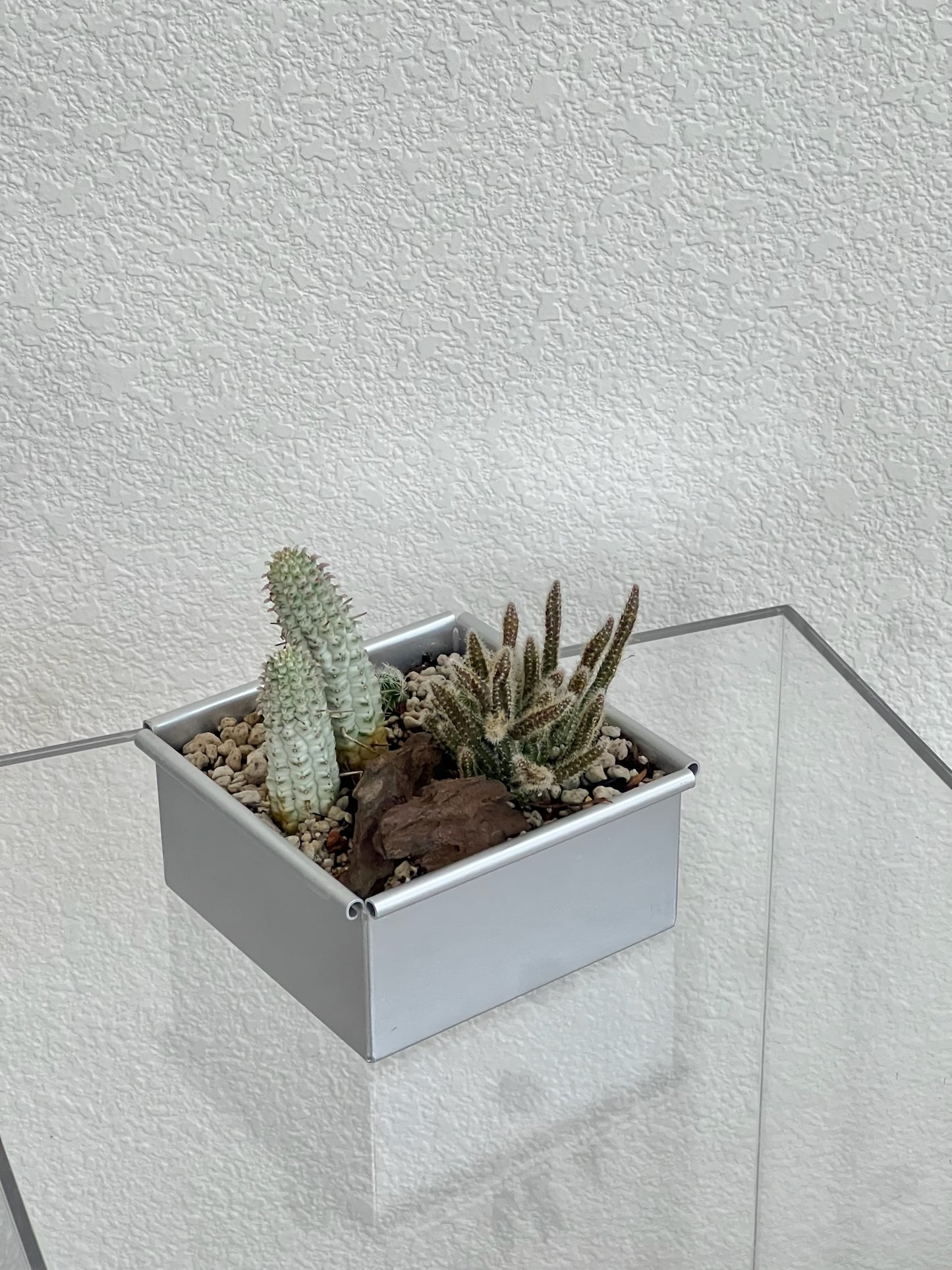 Aluminium Cactus Garden