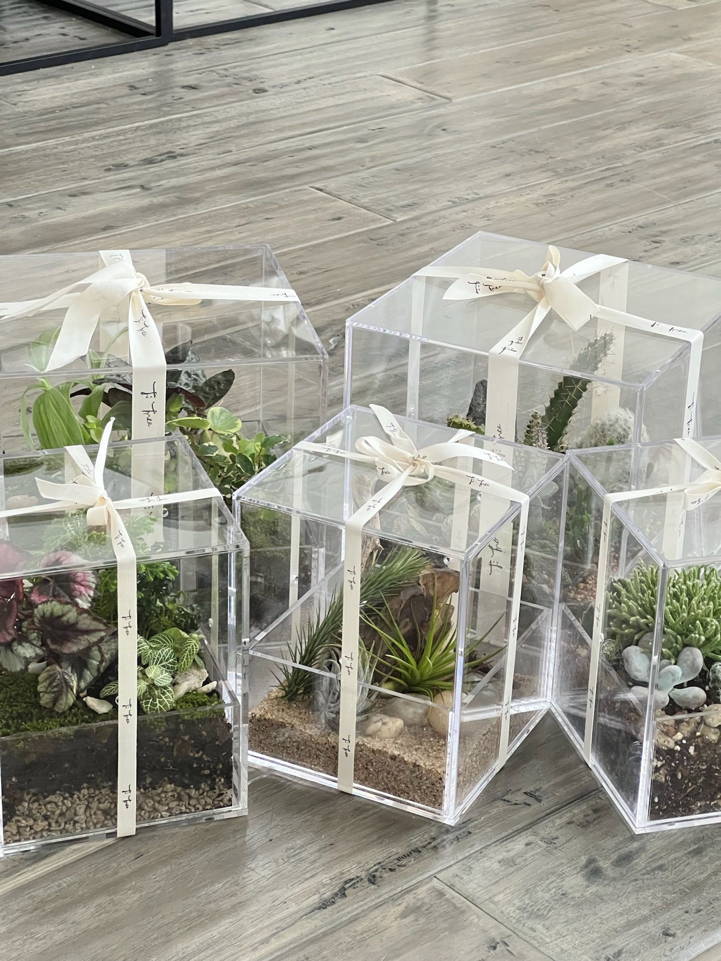 Enclosure Tropical Terrarium - Acrylic box & low maintain