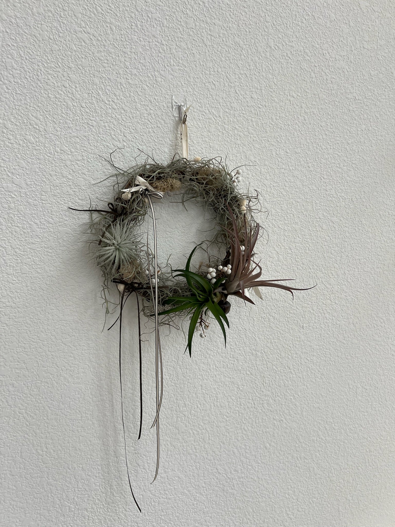 air plant wreath ideas Air Plant Christmas Wreath – Ti Tree Plants