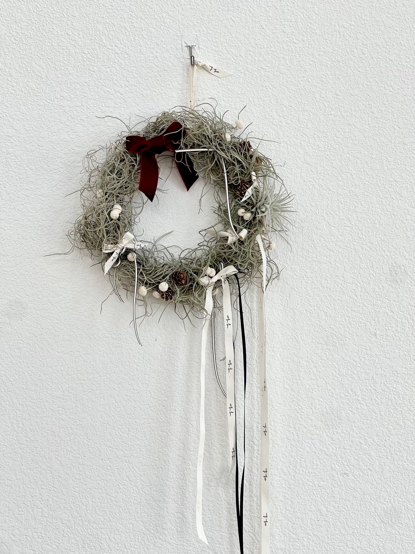 Air Plant Christmas Wreath