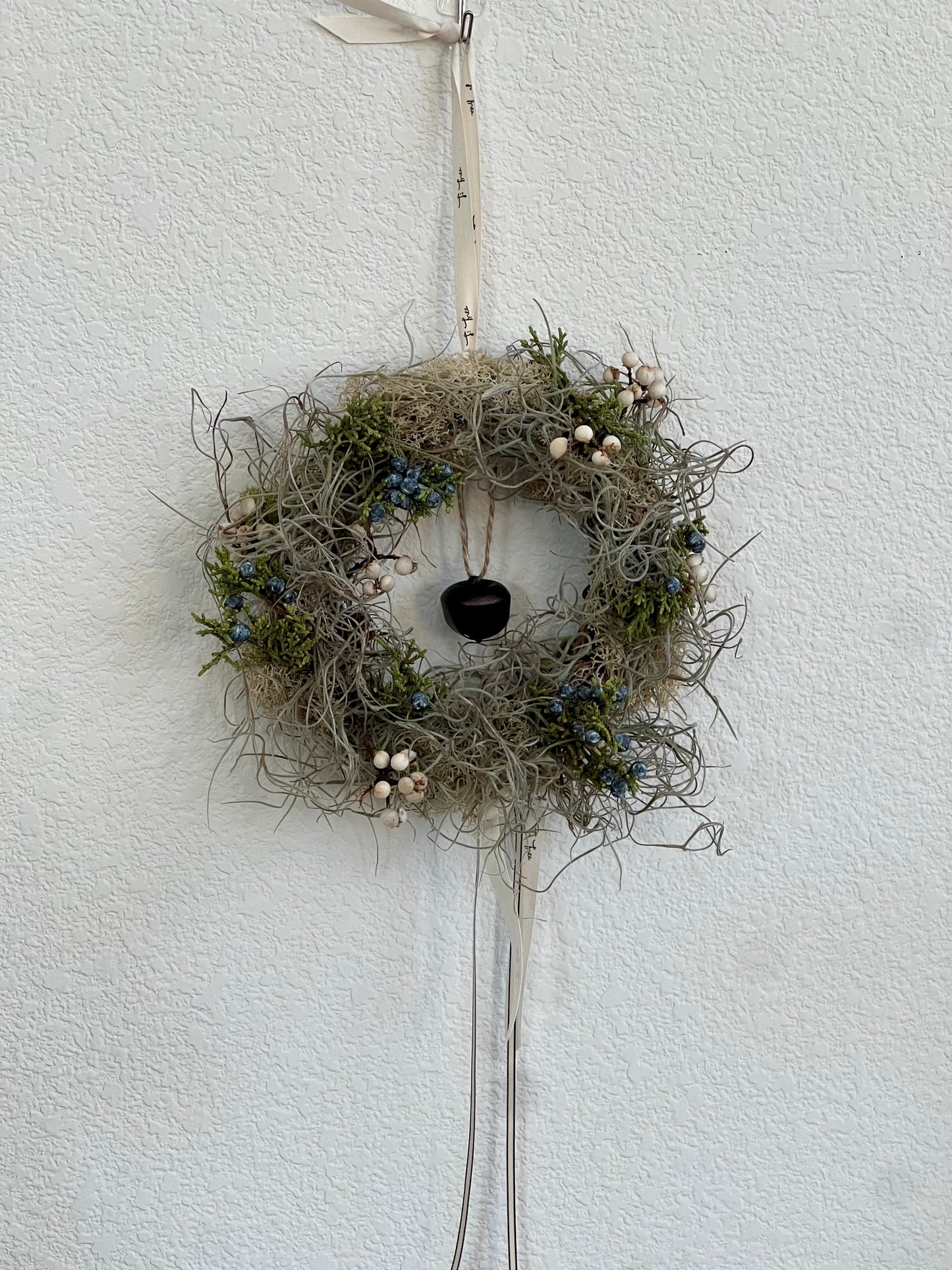 Air Plant Christmas Wreath