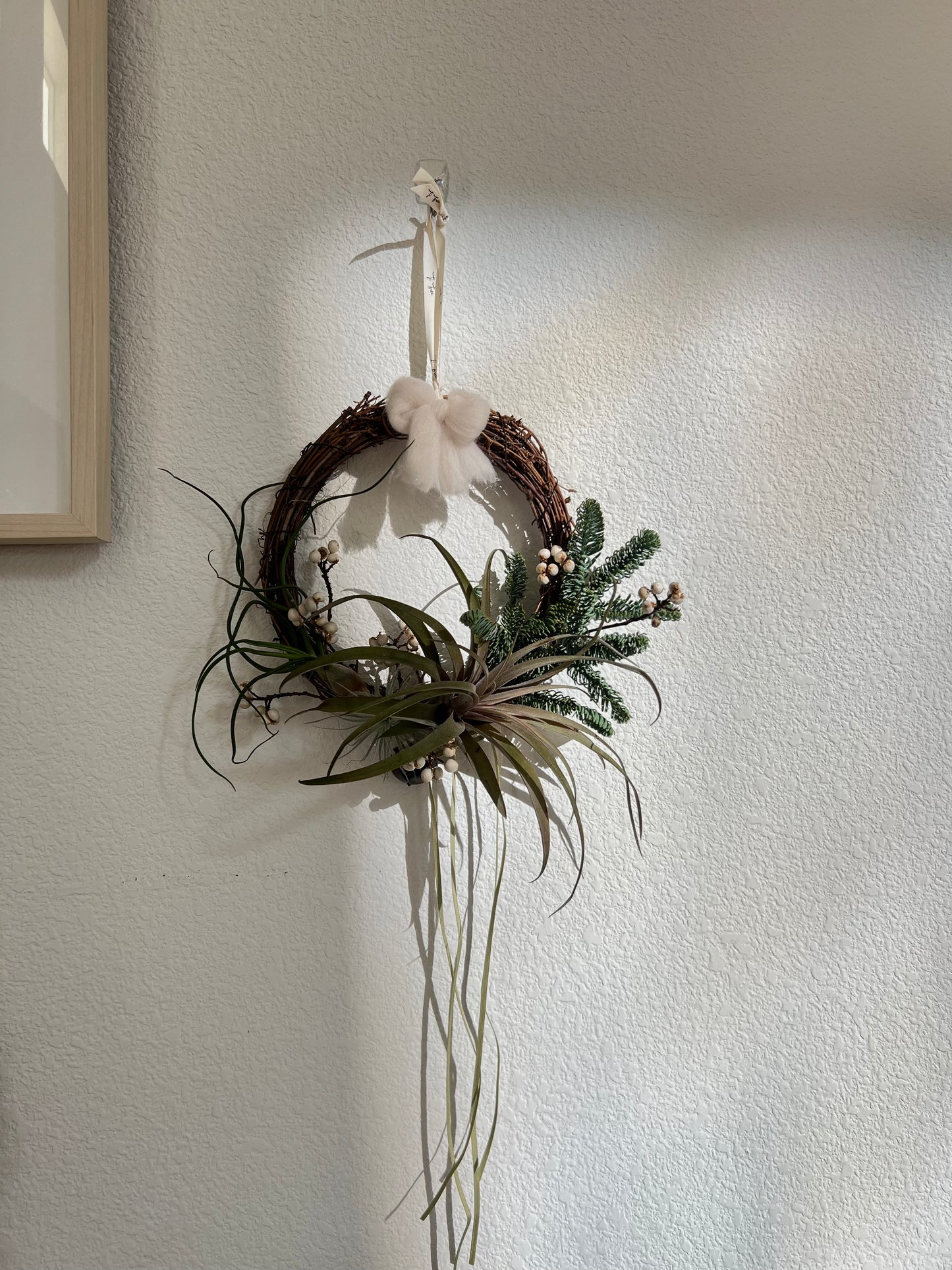 Air Plant Christmas Wreath