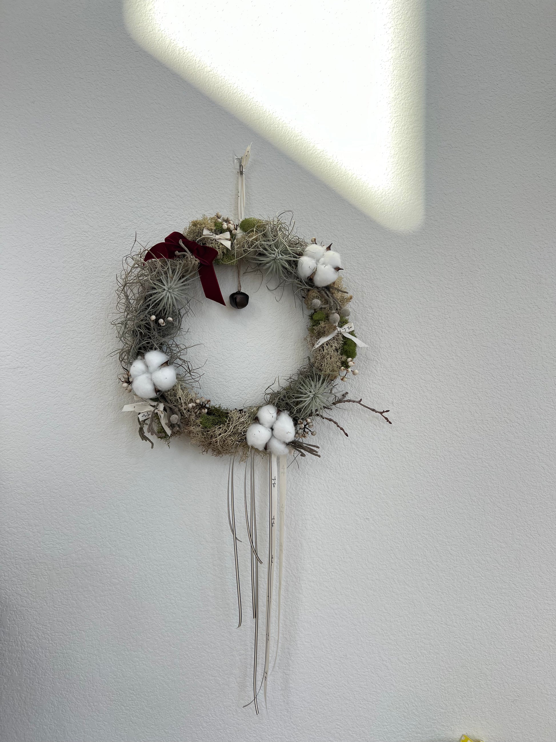 christmas air plant holder Air Plant Christmas Wreath – Ti Tree Plants