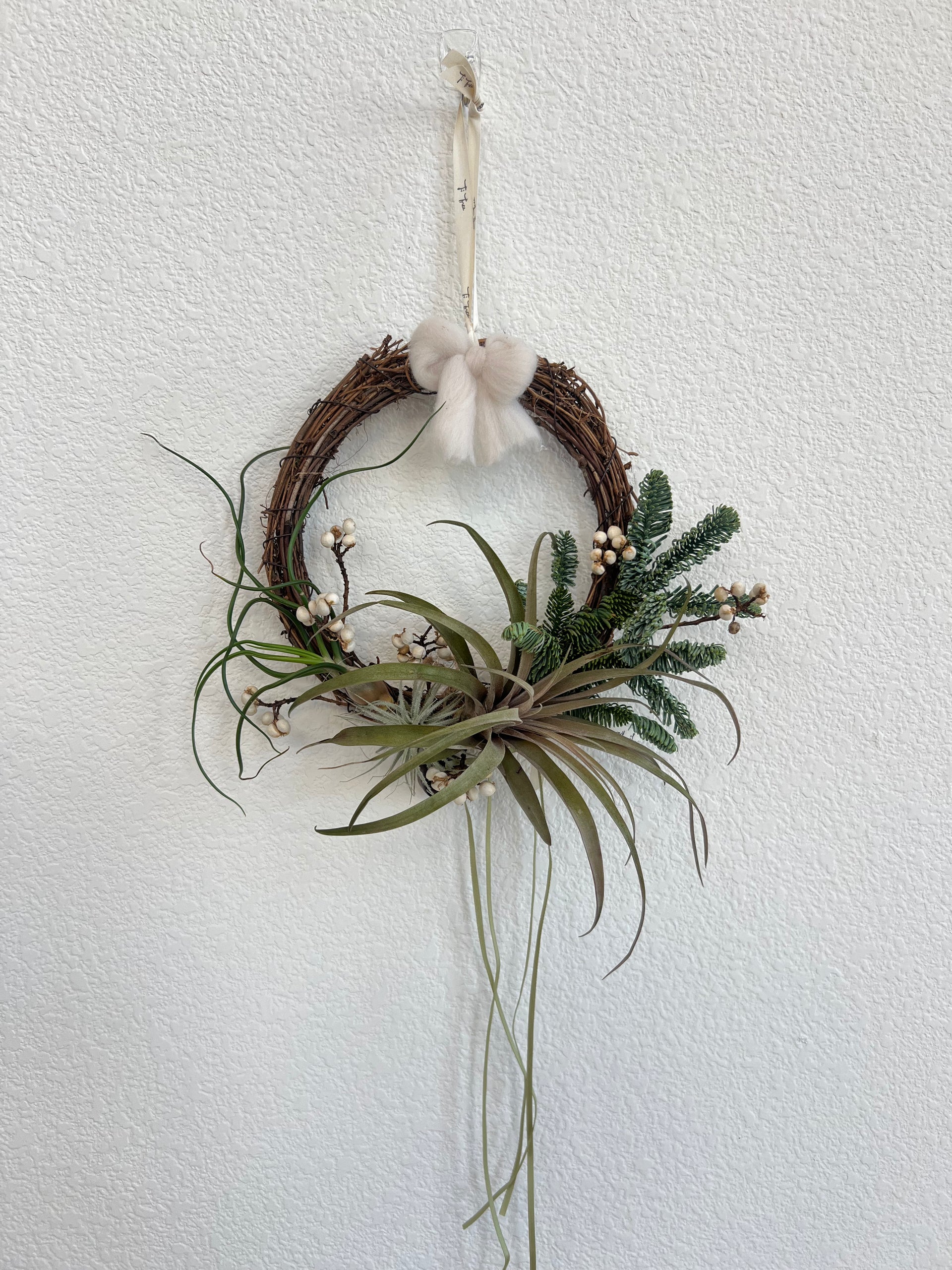 Air Plant Christmas Wreath – Ti Tree Plants
