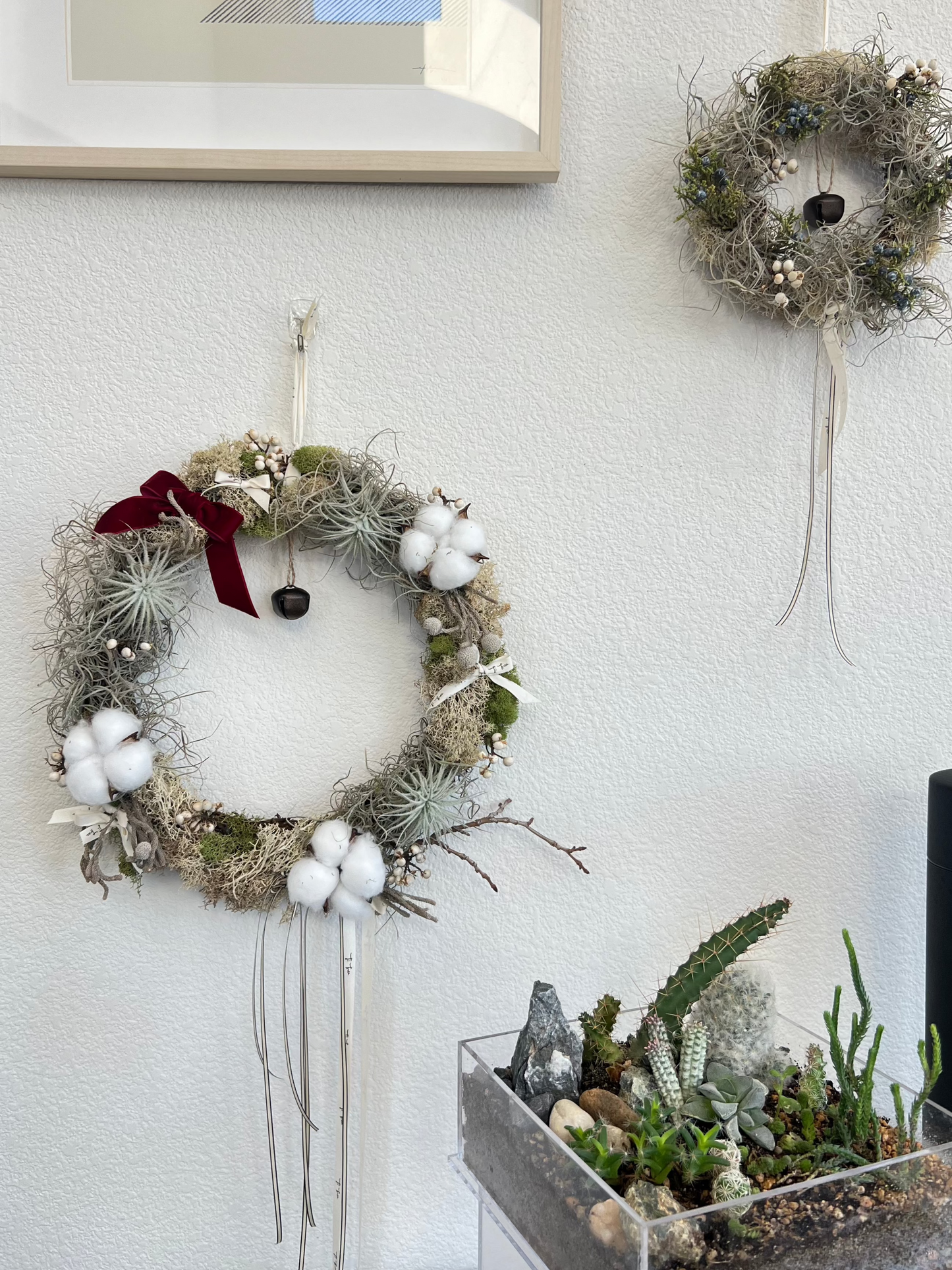 Air Plant Christmas Wreath