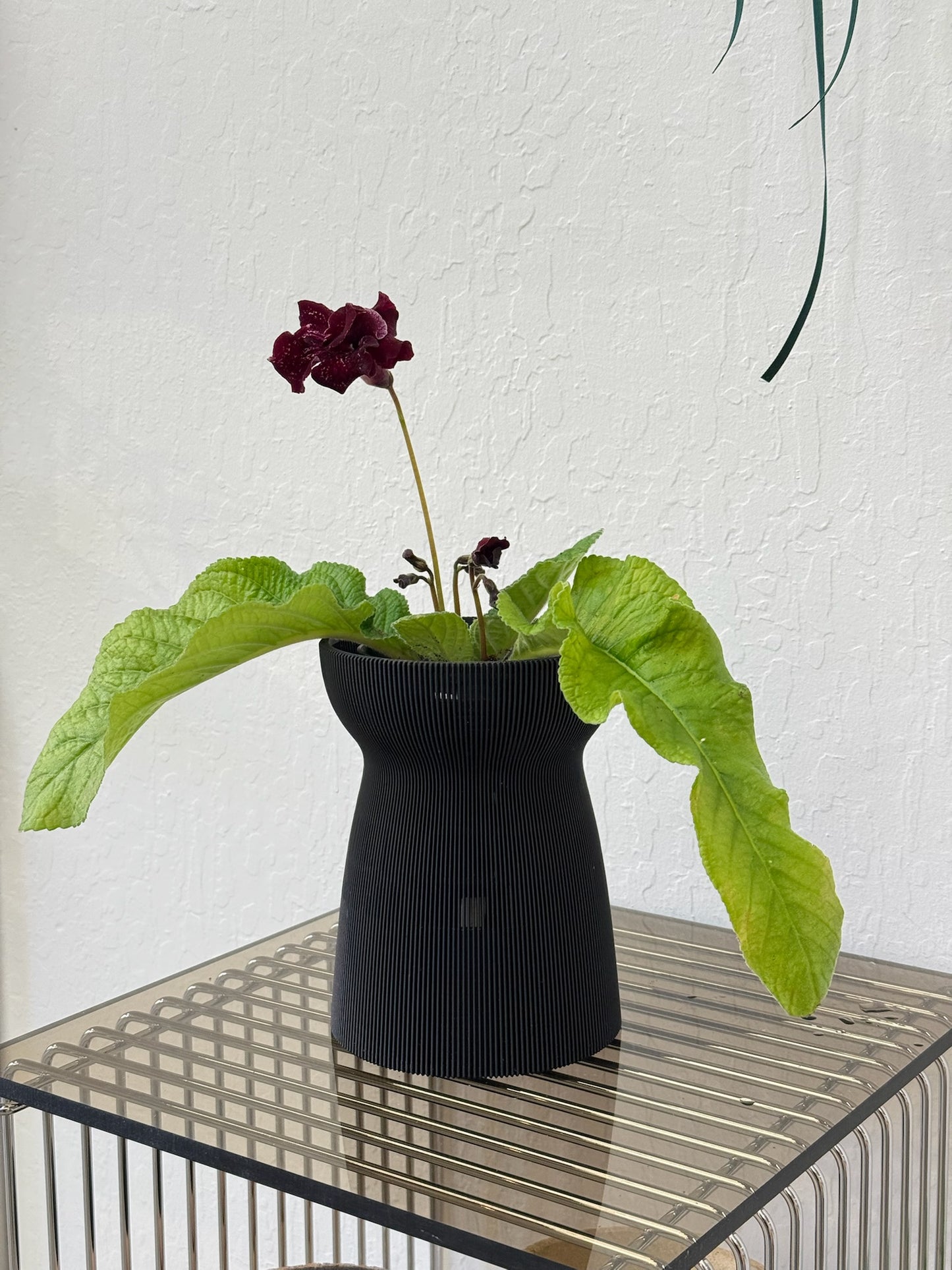 Hanaire self-watering & air pruning planter